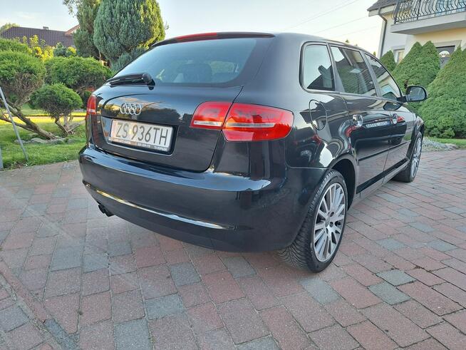 Audi A3 Klimatronik    Serwisowany Stan Bardzo Dobry Załom - zdjęcie 6