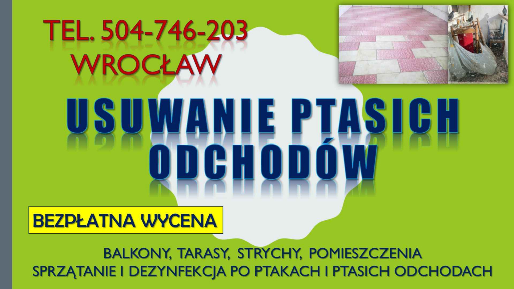 Ptasie odchody, sprzątanie, Wrocław, t.504746203. dezynfekcja balkonu. Psie Pole - zdjęcie 3