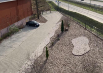 Lokal na wynajem Wiązowna Wiązowna - zdjęcie 11