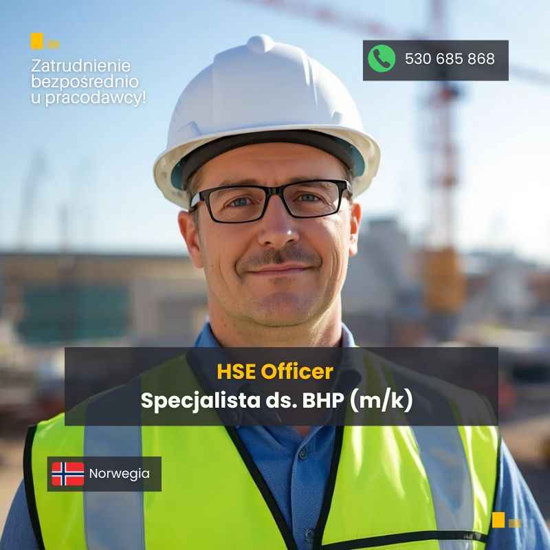 HSE Officer / Specjalista ds. BHP (k/m) Gdańsk - zdjęcie 1