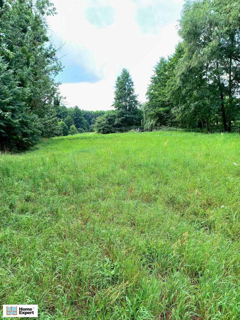 Działka Budowlana (4169 m2) Okolice Prostej (Ligota Piękna) Ligota Piękna - zdjęcie 3