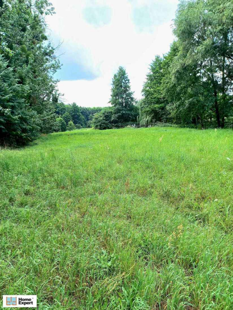 Działka Budowlana (4169 m2) Okolice Prostej (Ligota Piękna) Ligota Piękna - zdjęcie 3