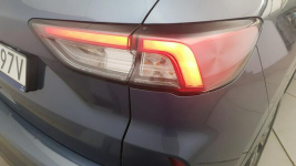 Ford Kuga 1.5 EcoBoost FWD ST-Line!  z polsiego salonu! FV 23% Warszawa - zdjęcie 12