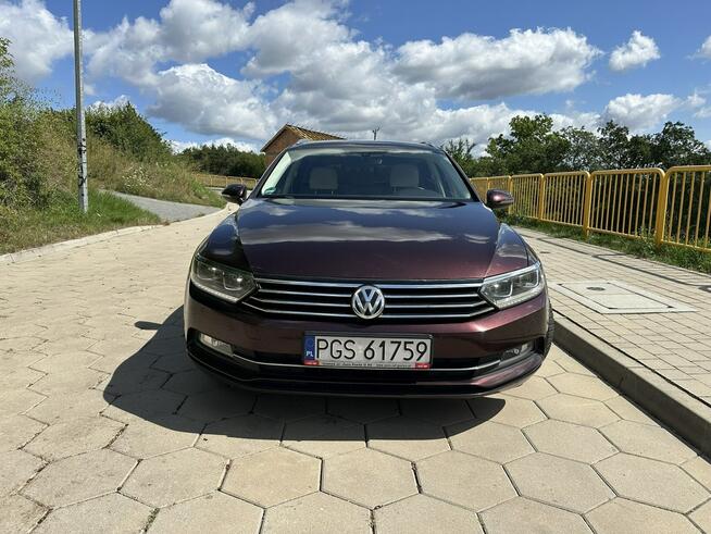 Volkswagen Passat B8 1.6TDI Klimatronic 3-strefy Gostyń - zdjęcie 2