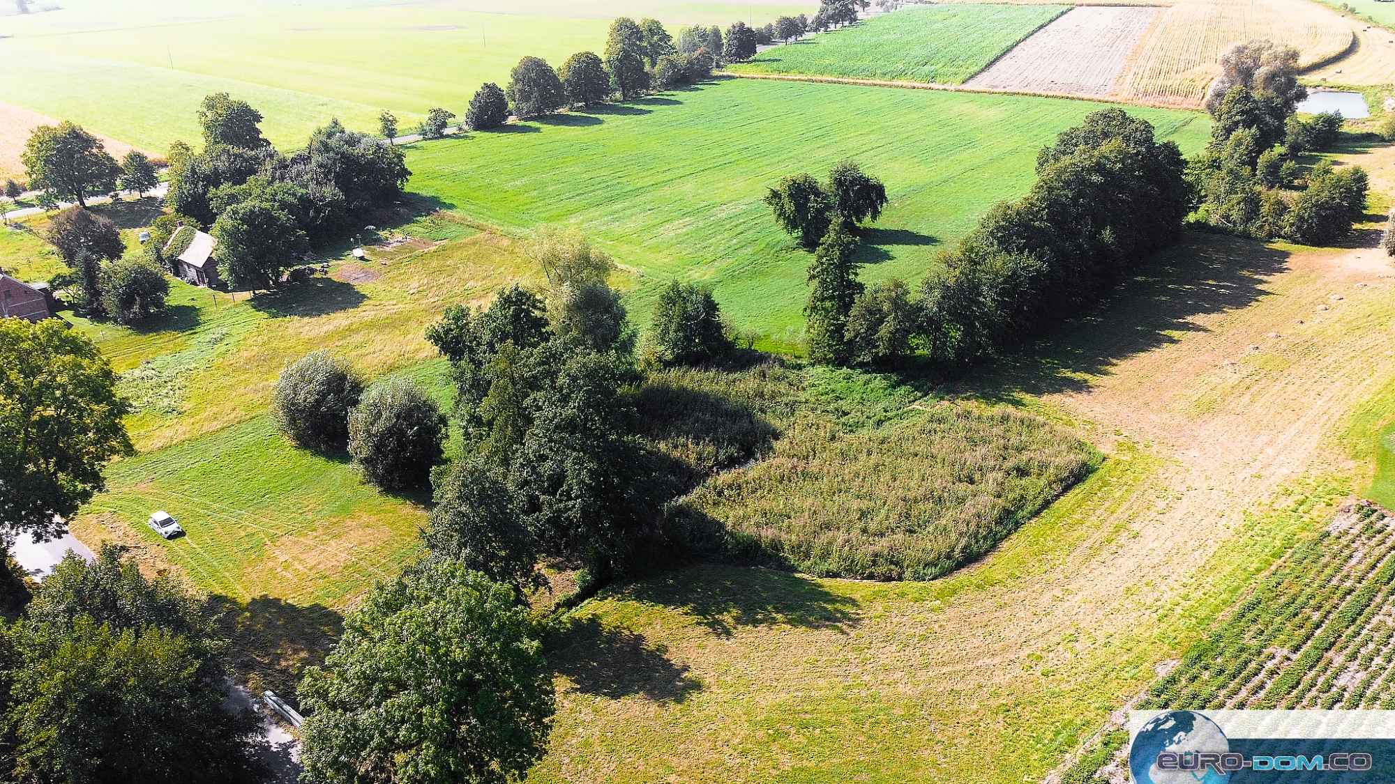 NA SPRZEDAŻ DUŻA DZIAŁKA Z DOSTĘPEM DO DWÓCH STAWÓW BORUCIN Borucin - zdjęcie 3