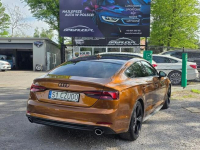 Audi A5 | Hybryda |245 KM|2019|SPORTBACK|QUATTRO Bogato wyposażony Łódź - zdjęcie 9