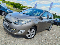 Renault Scenic Bibice - zdjęcie 7