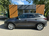 Opel Grandland X ELITE+ / BEZWYPADKOWY / NOWY ROZRZĄD Poznań - zdjęcie 2