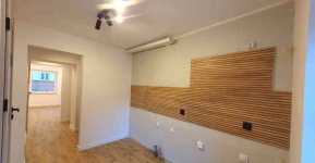 1pok, 32met, okolice Placu Św. Macieja PO REMONCIE/PIWNICA (Wrocław) Śródmieście - zdjęcie 5