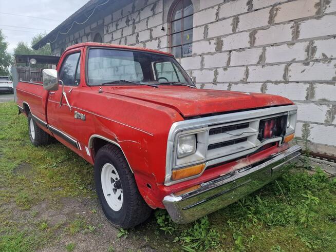 Dodge Ram D100 Rocznik 1987 Silnik 318 V8 Klasyczny Pickup Sulechów - zdjęcie 1