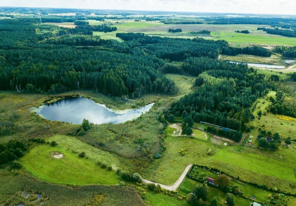 Działka z linią brzegową jeziora Płociczno - zdjęcie 1