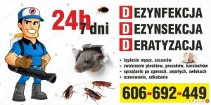 Dezynfekcja Dezynsekcja Deratyzacja - Opole, Kędzierzyn-Koźle-opolskie