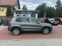 Volkswagen Tiguan CUP, 4Motion, DSG,Gwarancja Sade Budy - zdjęcie 6