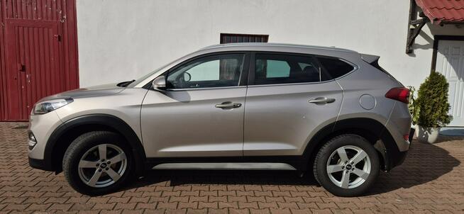 Hyundai Tucson MEDIA-BLUETOOTH Paproć - zdjęcie 5