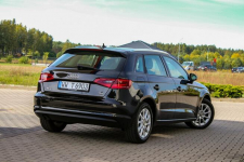 Audi A3 105KM Bi-ksenon Podgrzewane Fotele Ledy Tempomat Lift Ostrów Mazowiecka - zdjęcie 3