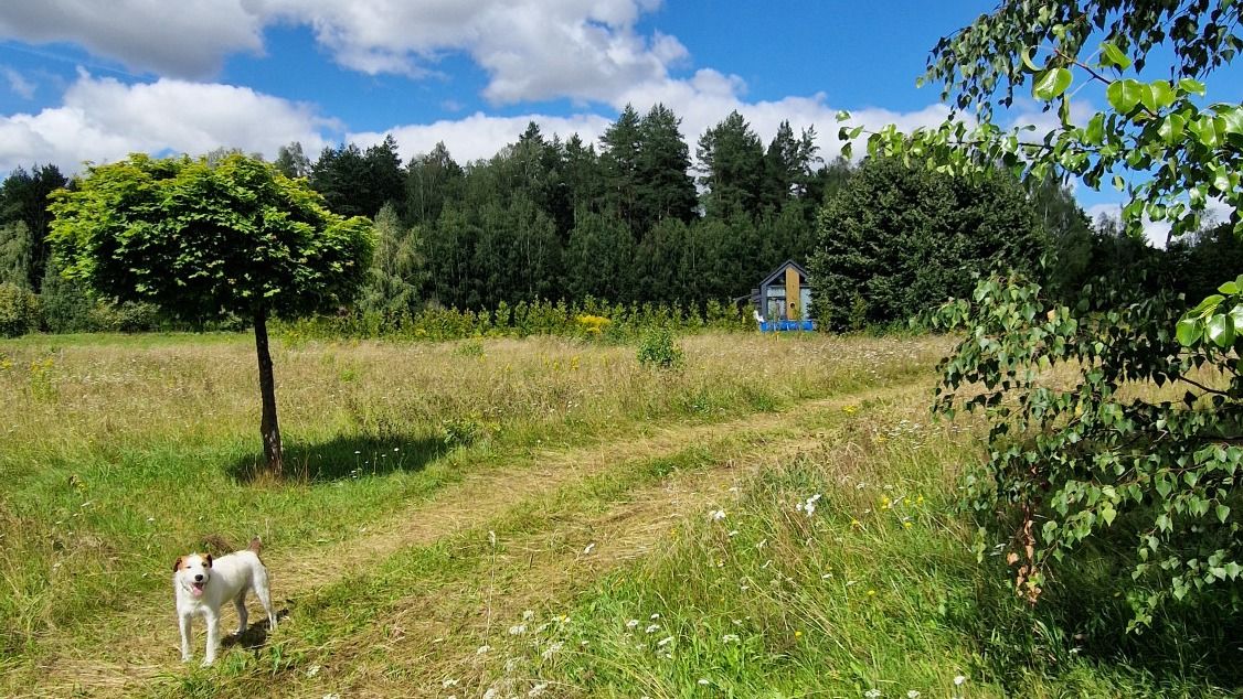 Działka budowlana Słójka Dziewiczy Ług Słójka - zdjęcie 8