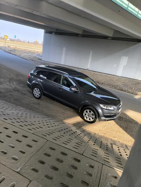 Kukurydza 7 Cedry Małe - zdjęcie 7