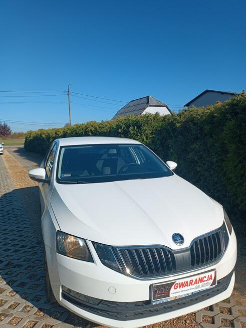 Škoda Octavia krajowa Chełm Śląski - zdjęcie 3