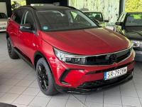 Opel Grandland X GS/17669 km/zarejestrowany/2 klucze/pierwszy lakier