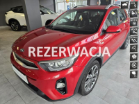 Kia Stonic Krajowy, Pierwszy wł, Bezwypadkowy, 1.4BENZYNA. 37000km