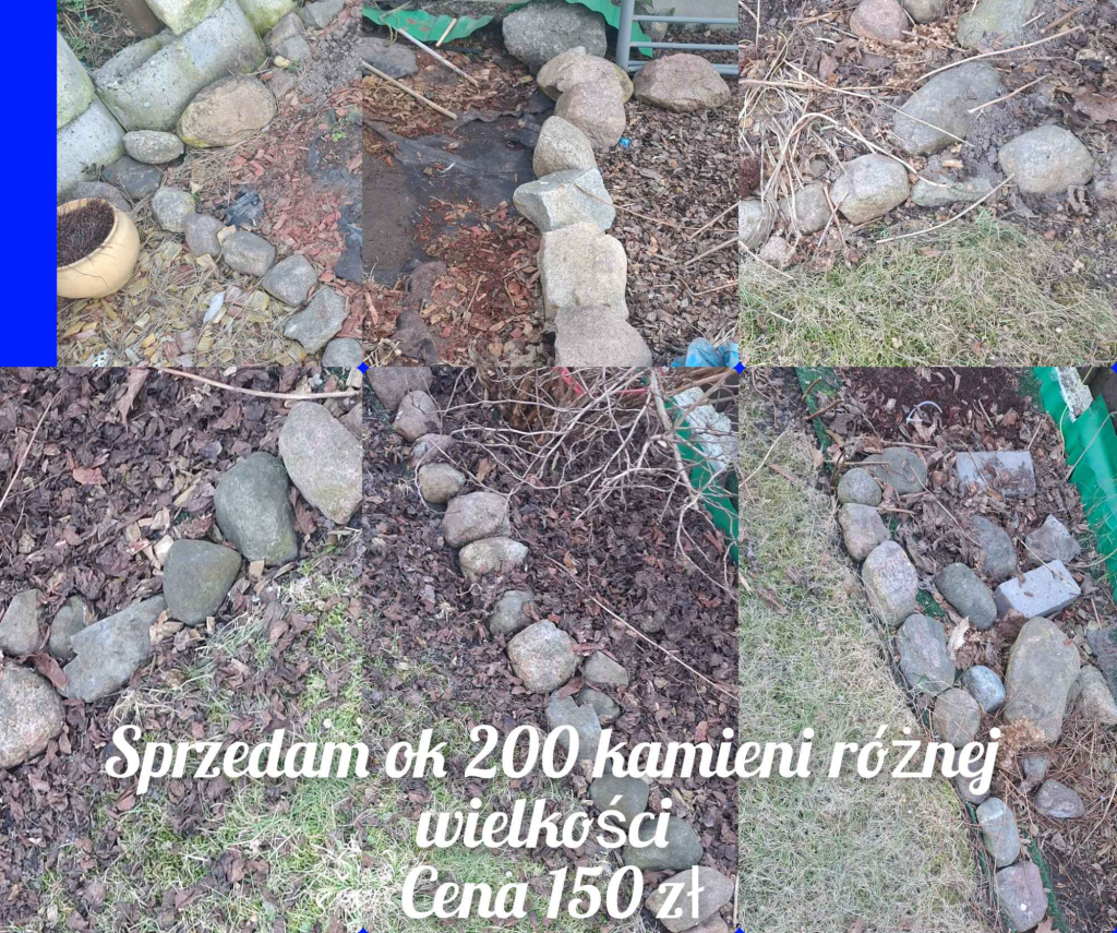 Sprzedam Luboń - zdjęcie 3