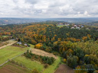 Działka pod lasem 16,80 ar z warunkami zabudowy Rzeszów - zdjęcie 10