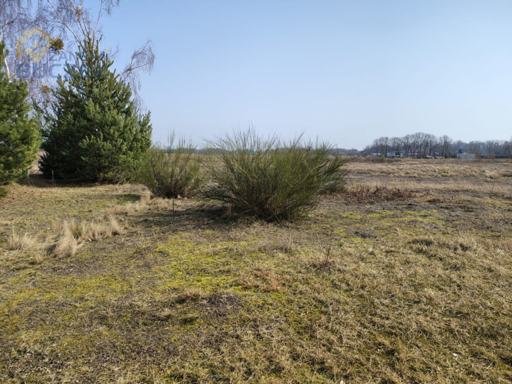 Sprzedam działki rolne o pow. 4029 w Skarbikowie Skarbikowo - zdjęcie 1