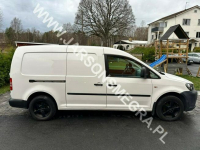 Volkswagen Caddy Maxi 1.6 TDI DSG Sequential Kiczyce - zdjęcie 2