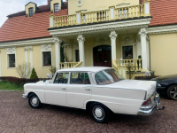 Mercedes W110 Klasa S / W111 / 220S / Zabytek! Łaziska Górne - zdjęcie 11