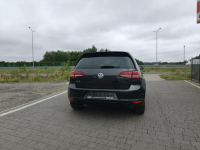 Volkswagen Golf Piękny Lipówki - zdjęcie 11