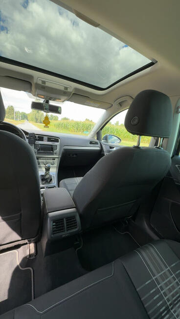 Volkswagen golf 7 Odolanów - zdjęcie 12