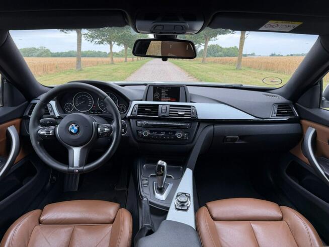 BMW 420 Sadlno - zdjęcie 12