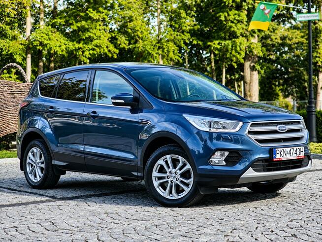 Ford Kuga Sadlno - zdjęcie 1