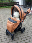 MIKRUS wózek wielofunkcyjny 2w1 CITY Gdynia - zdjęcie 7