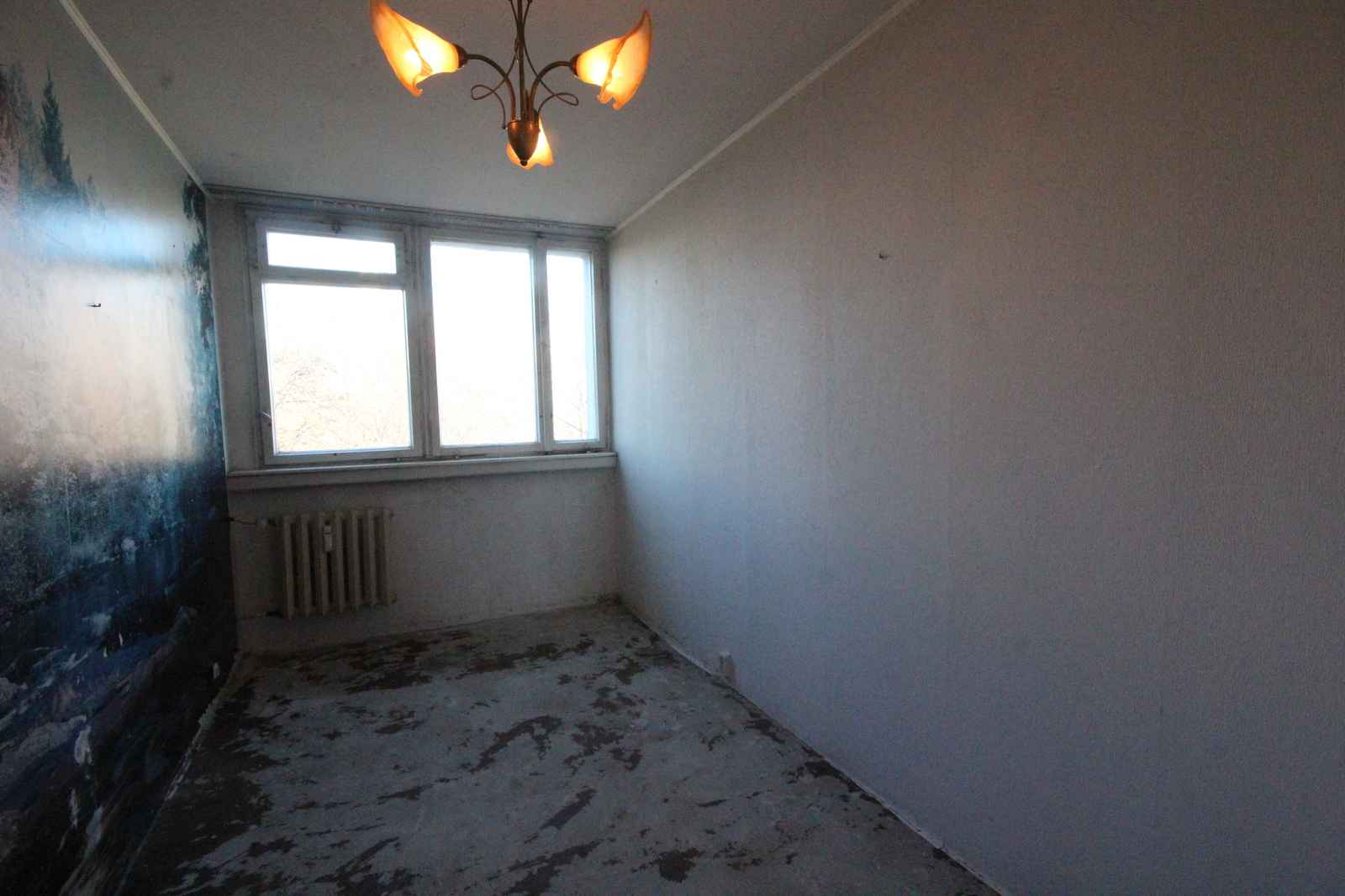 2pok, 48met, okolice Radosnej ROZKŁAD/PIWNICA/PARKING (Wrocław) Krzyki - zdjęcie 6