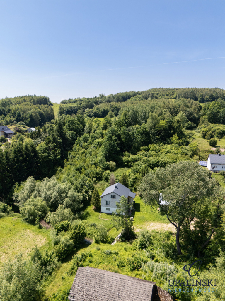 Dom w otoczeniu zieleni do własnej aranżacji Przedmieście Dubieckie - zdjęcie 5