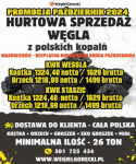 HURTOWA SPRZEDAŻ WĘGLA Z POLSKICH KOPALŃ MAZOWIECKIE Kielce - zdjęcie 1