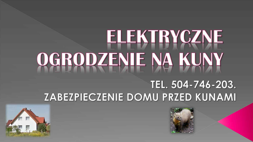 Elektryczny pastuch, na kuny, tel, 504-746-203. Pastuchy elektryczne, Psie Pole - zdjęcie 7