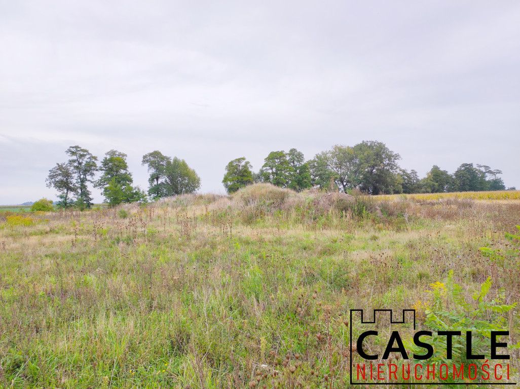 Działki pod budowę hali z biurem - inwestycja! Chomęcice - zdjęcie 4