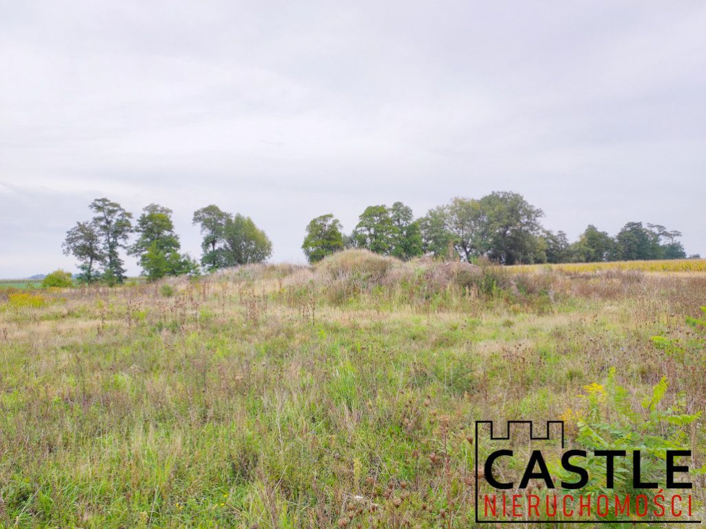 Działki pod budowę hali z biurem - inwestycja! Chomęcice - zdjęcie 4