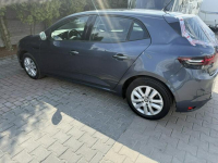 Renault Megane Zielona Łąka - zdjęcie 6
