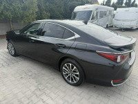 Lexus ES300 Zielona Łąka - zdjęcie 3
