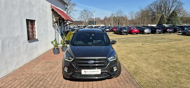 Ford Kuga GT-line-SALON PL Paproć - zdjęcie 2