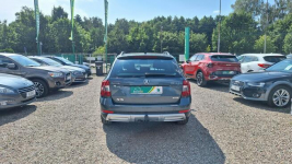 Škoda Octavia Skout, 2.0 180KM,  4x4, DSG Zieleniewo - zdjęcie 8