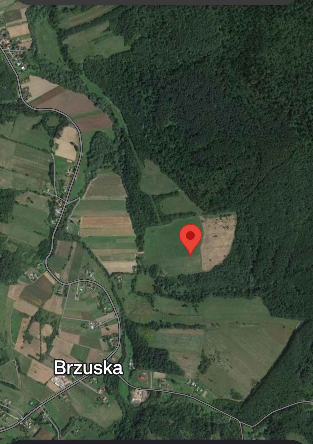 Działka rolna 28 ha. Brzuska - zdjęcie 1