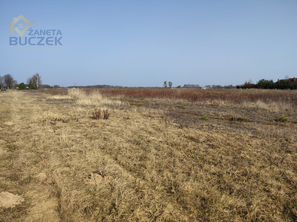 Sprzedam działki rolne o pow. 4029 w Skarbikowie Skarbikowo - zdjęcie 6