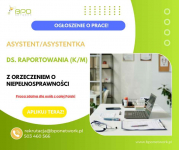 Asystent/ka ds. raportowania (K/M) z orzeczeniem zdalnie (cała Polska) Śródmieście - zdjęcie 2