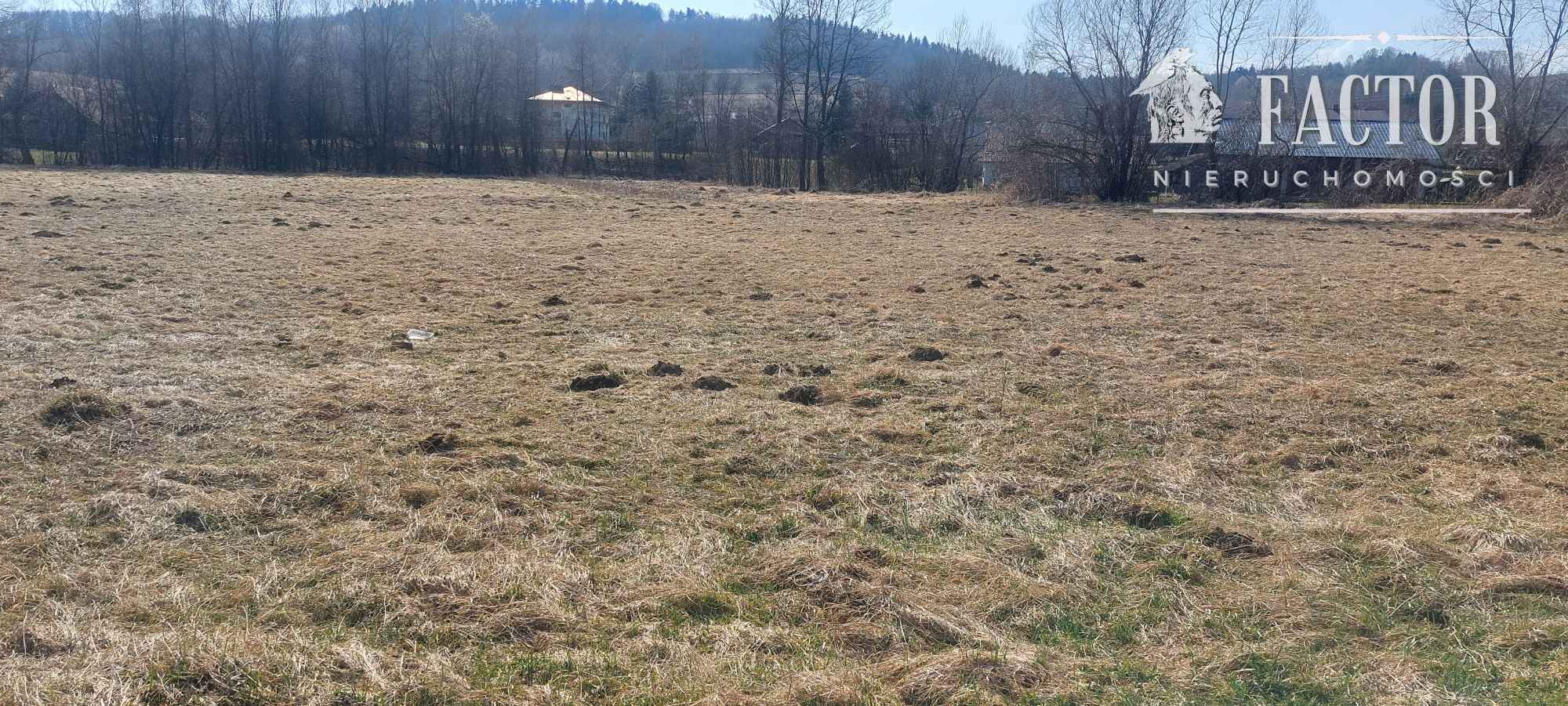 Działka rolna 1,3 ha w Racławicach – potencjał pod OZE 1189S/2026 Racławice - zdjęcie 7