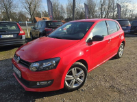 Volkswagen Polo Reguły - zdjęcie 5
