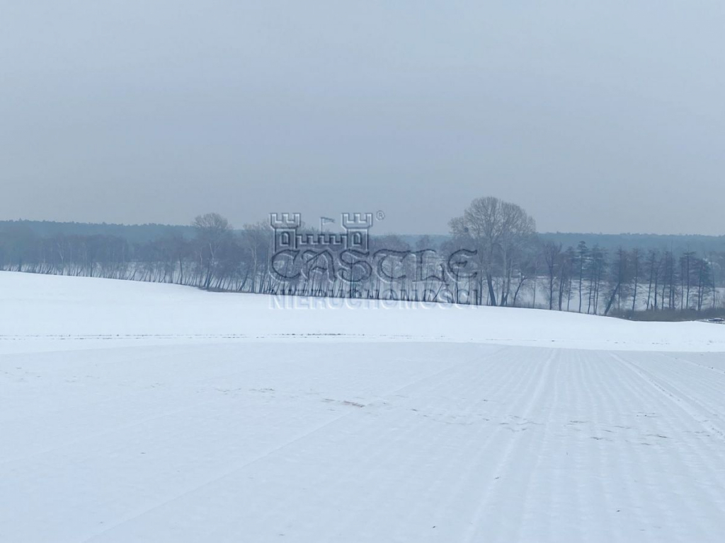 Jezioro, spokój i …..widok jak marzenie!!! Głodowo - zdjęcie 6